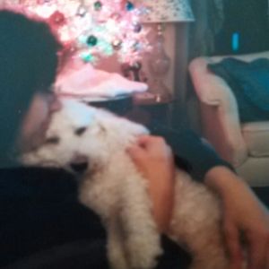 Meet your Posher, Tina